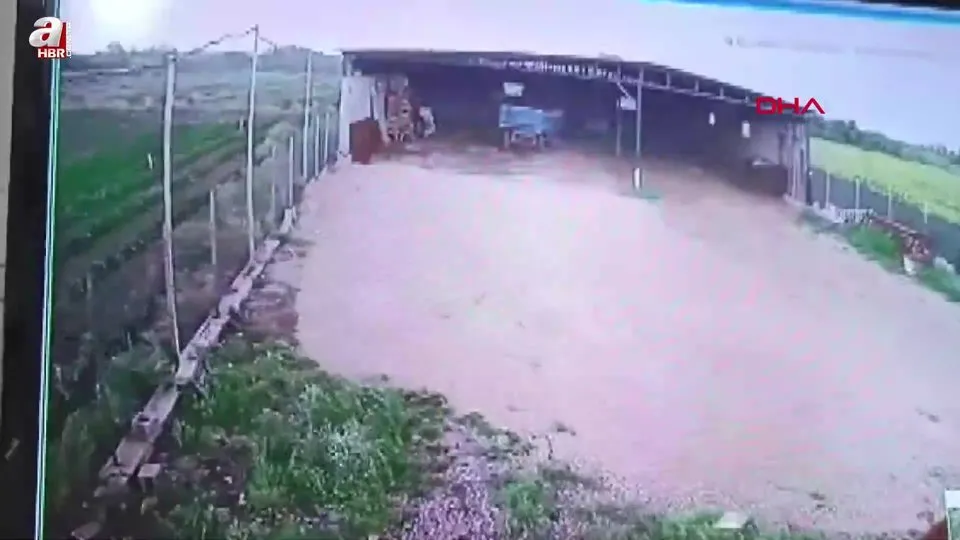 Adana’da hortum ahırın çatısını uçurdu