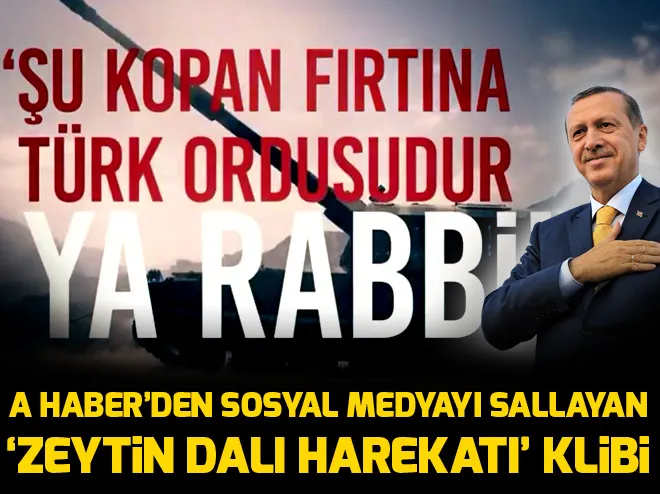 Azerbaycan'dan Zeytin Dalı Harekatı'na destek - 2