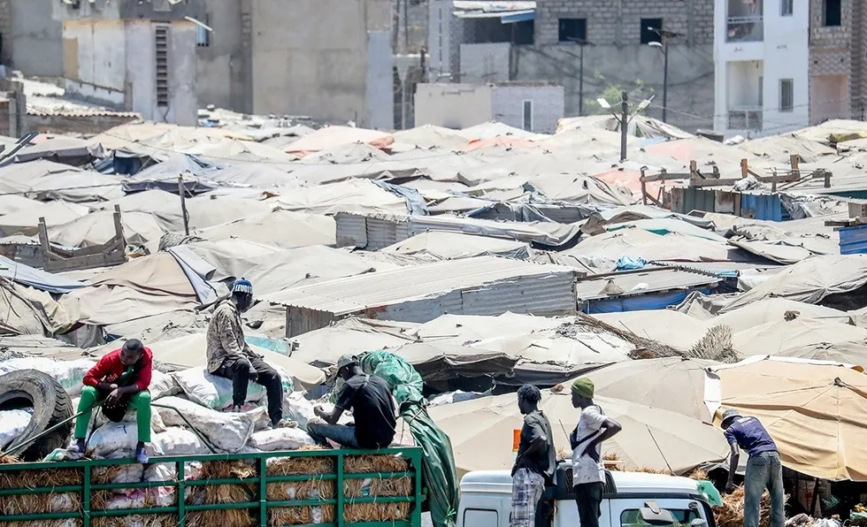 Senegal'de Uluslararası Sıfır Atık Günü etkinliği düzenlendi - 1