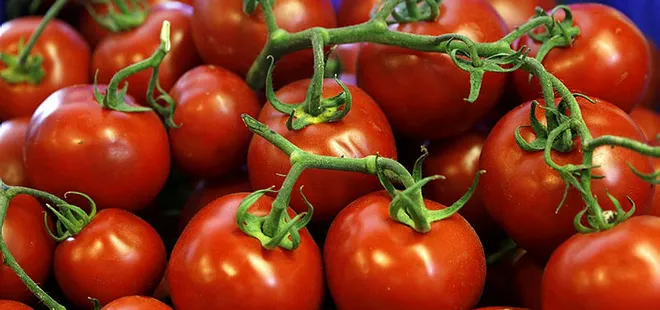 Domates karaciğerin dostu!