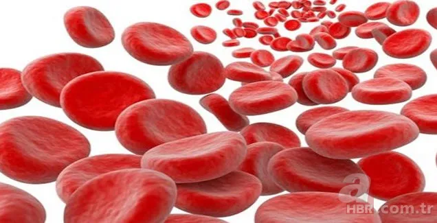 Hangi kan grubu nasıl beslenmeli? İşte kan grubunuza göre tüketmeniz gereken besinler... 19