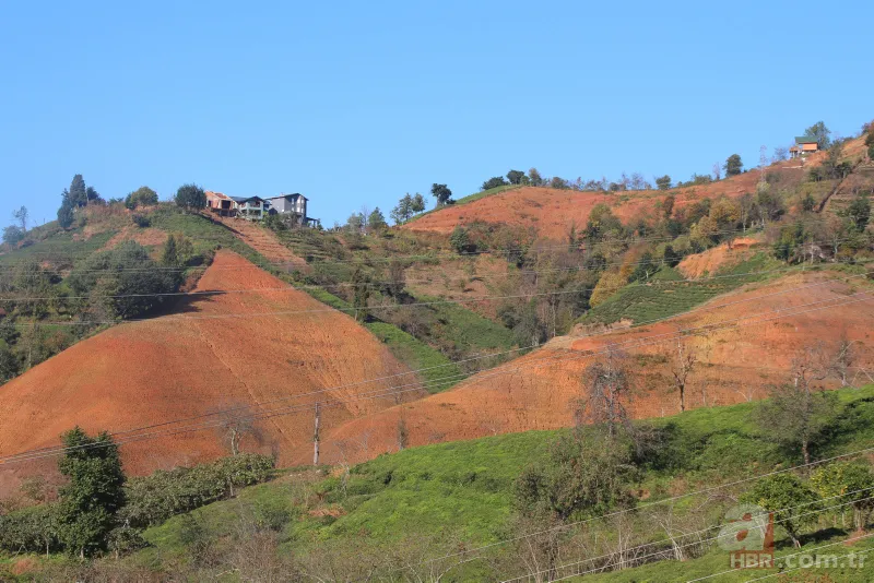 Tarladaki ürünleri tek tek söküyorlar! Uzman isim uyardı: Sıkıntı yaşarız 1