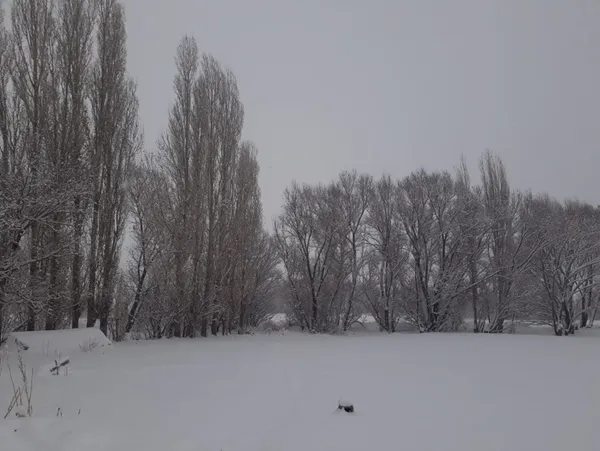 Meteoroloji İstanbul'a kar yağacak tarihi açıkladı! İstanbul ve Ankara'ya ne zaman kar yağacak? - 15