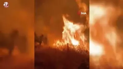 Yamadı Gölü alevlere teslim oldu