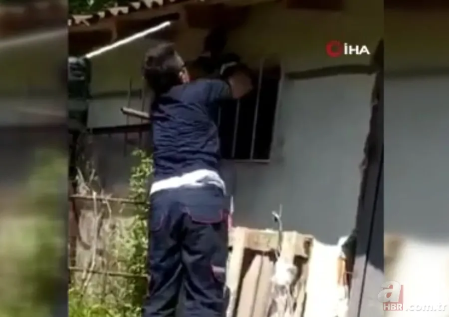 Kastamonu’da itfaiye ekiplerinin 2 metrelik yılanla imtihanı kamerada🐍 2