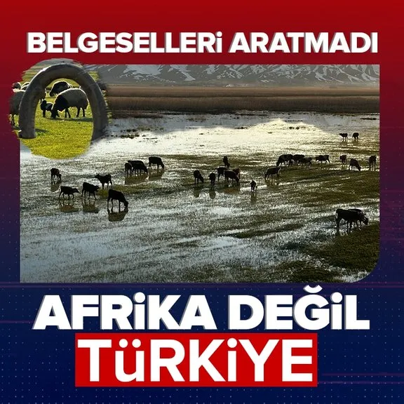 Görüntüler Afrika değil Türkiye’den! O ilimizde belgeselleri aratmayan anlar