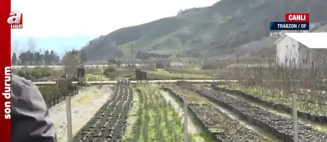 Türkiye Yüzyılı’nda tarım, ormancılık ve hayvancılık! A Haber ekipleri sahada