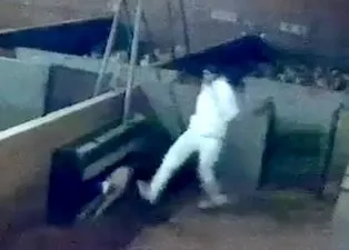 Yürek yakan görüntüler ülkeyi karıştırdı! Mezbahada kuzulara işkence kamerada