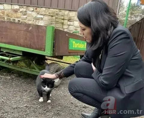 Kayıp Kedinin 9 Yıllık Gizemi Çözüldü: Sahte Kimlikle Yaşıyormuş! 7