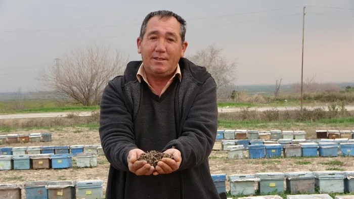 adanada-200-kovanda-bulunan-binlerce-ari-telef-oldu-1645510212751.jpg Adana'da 200 kovanda bulunan binlerce arı telef oldu - 1