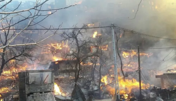Son dakika: Artvin'de korkutan yangın! İçişleri Bakanlığı'ndan Artvin'deki yangın hakkında flaş açıklama - 4