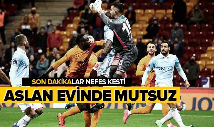Aslan evinde mutsuz!