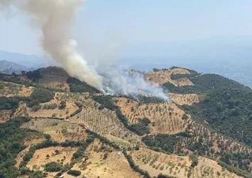 Aydın'da korkutan yangın