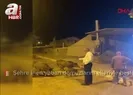 Şehre inen yaban domuzlarını elleriyle beslediler