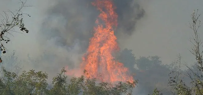 Son dakika: Tarım ve Orman Bakanı Pakdemirli 12 ilde çıkan 19 yangın hakkında bilgi verdi