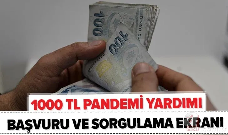 e-Devlet 1000 TL başvuru ve sorgulama ekranı! 2020 pandemi sosyal destek yardımı şartları neler? 1