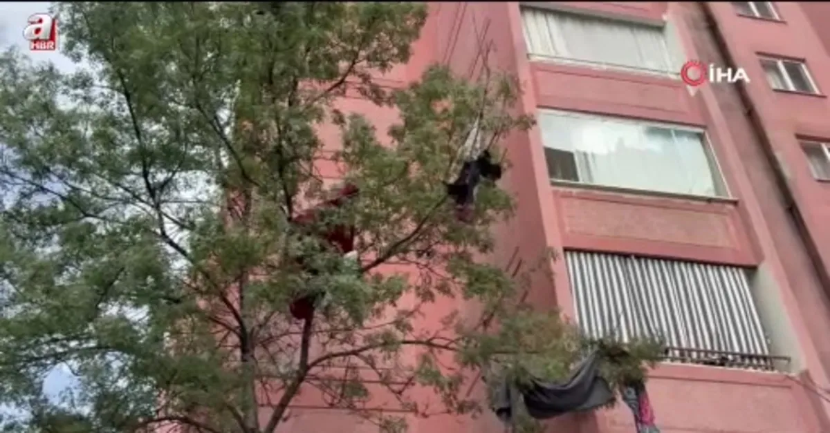 Evden bir kamyon çöp çıktı