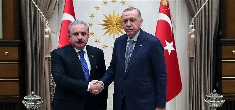 Son dakika: Başkan Recep Tayyip Erdoğan yeniden meclis başkanı seçilen Mustafa Şentop'u tebrik etti