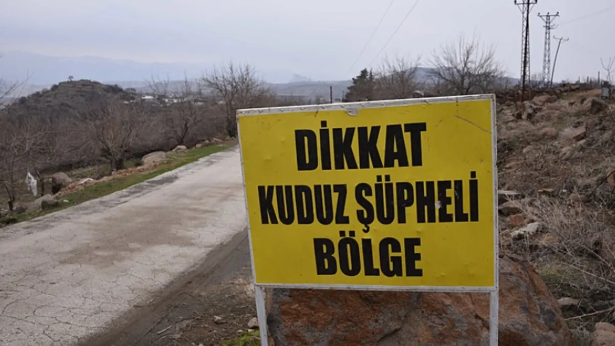 Başıboş dehşet! 3 kişiye saldırdı kuduz çıktı: Mahalle karantinada