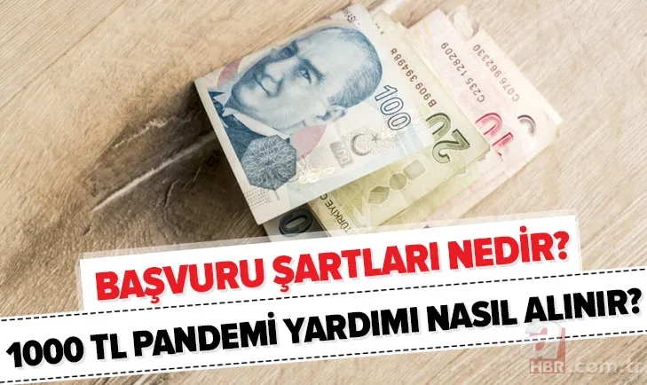Devletten 1000 TL destek devam ediyor! e-Devlet 1000 TL pandemi yardım başvurusu nasıl yapılır? Kimler başvurabilir? 1