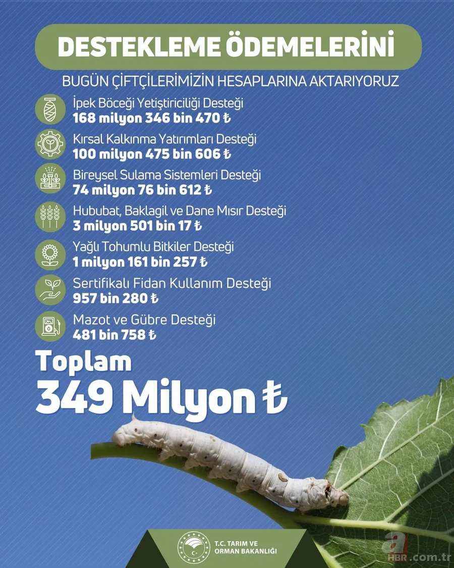 ÇİFTÇİ DESTEK ÖDEME SORGULAMA 2025: Çiftçi destek ödemesi yattı mı, ne zaman yatacak? 2
