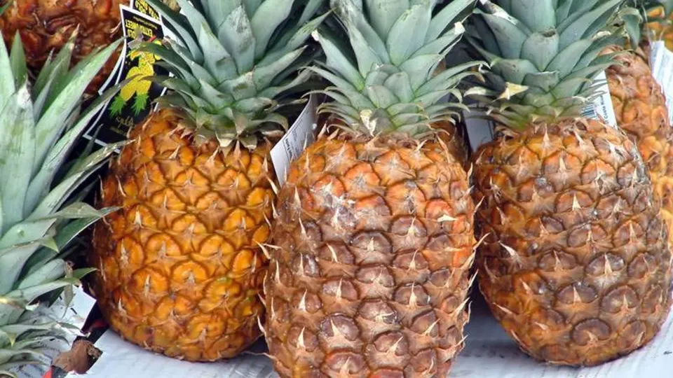 Sabahları 1 bardak ananas suyunun 9 faydası