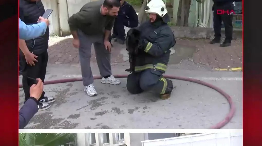 KALP MASAJIYLA KEDİYİ HAYATA BAĞLADI