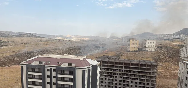 Mardin'de örtü yangını söndürüldü