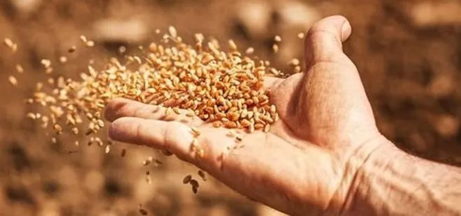 Yerli tohum üretiminde rekor artış | 1 milyon 59 bin tona yükseldi