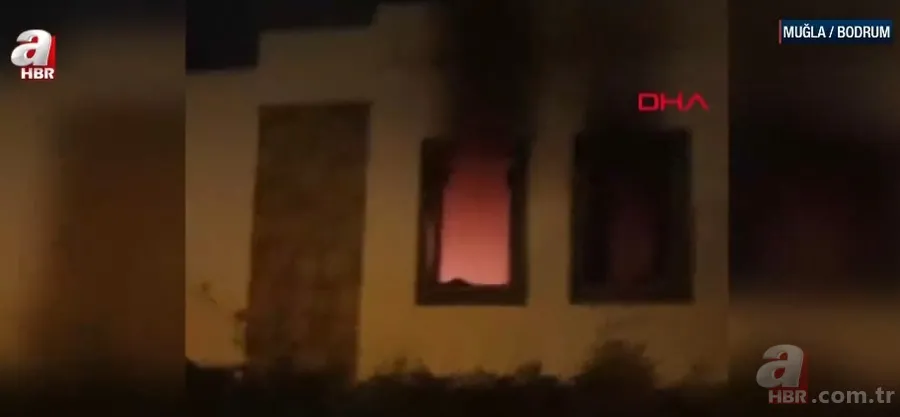 Galata Köprüsü’nde “veganım” diyerek balıkları denize atmıştı! Skandal olayın ardından şok iddia 6