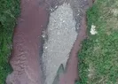 Ayamama deresinin rengi değişti!
