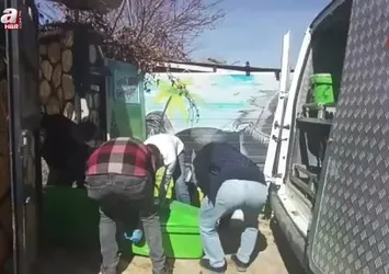 Yabancı uyruklu çoban ahırda ölü bulundu