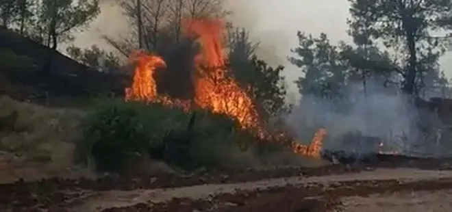 Yılın ilk 7 ayında 4 bin 426 yangın çıktı