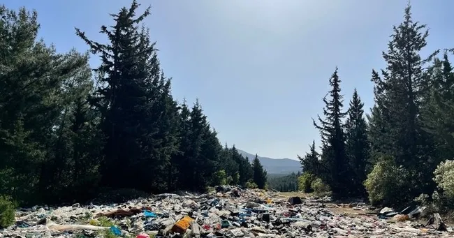 Son dakika: İzmir Buca’da ormanlık alan çöp yığınına döndü