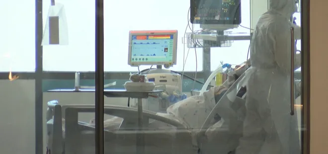 Cerrahpaşa'da korkutan artış! Bir haftada 5'e katlandı