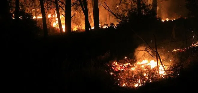 Muğla’daki orman yangınlarını terör örgütü PKK üstlendi