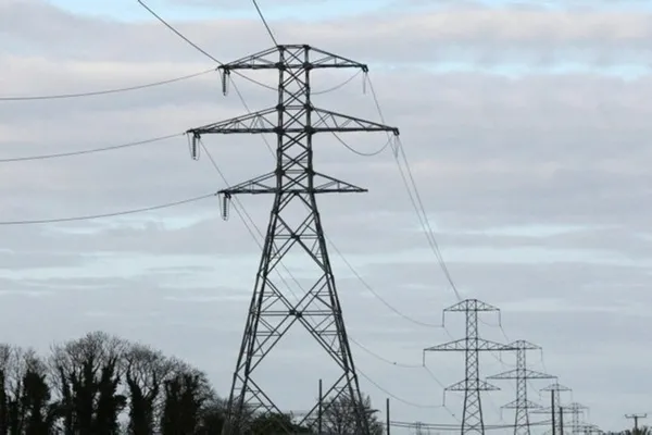 Almanya’da kriz büyüyor! Odun altından değerli oldu