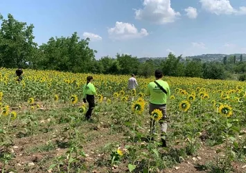 Kayıp çoban dün akşamdan beri aranıyor