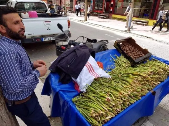 Işgın geçim kaynağı oldu! Tadına bakan kilo kilo alıyor - 2