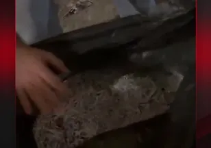 KURİŞ ÖRGÜTÜNE 'İMHA' BASKINI
