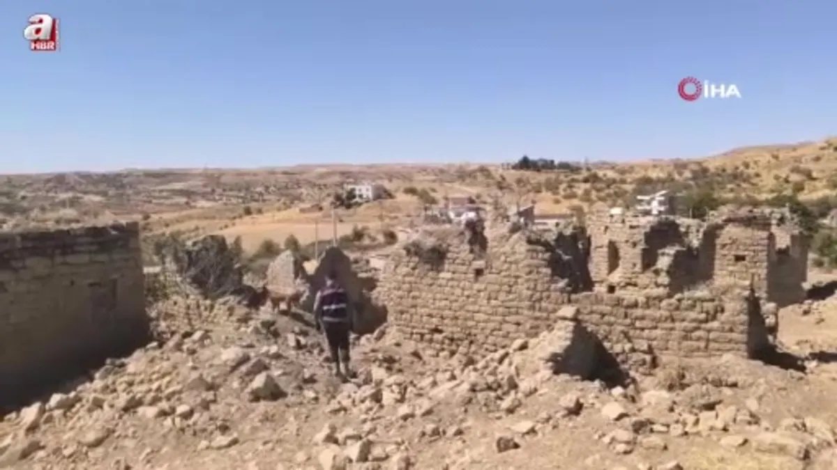 Siirt'te kayıp Alzheimer hastası 9 gündür aranıyor