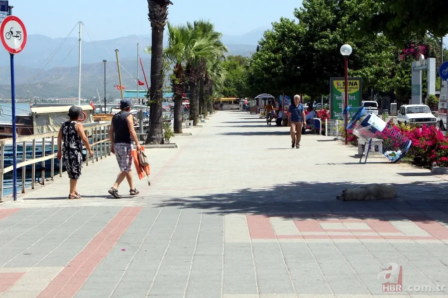 Fethiye'de asfalt eriten sıcaklar hayatı durdurdu 3