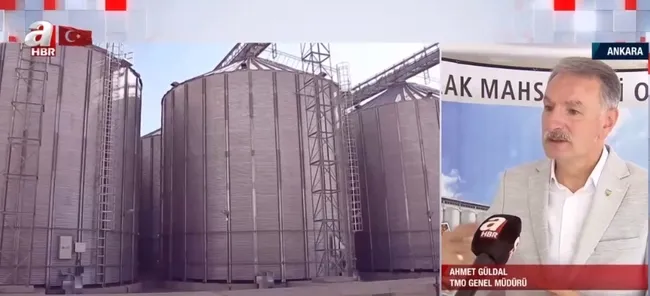 Tarlada hasat sezonu sürüyor! TMO randevu sisteminde bir sorun var mı?