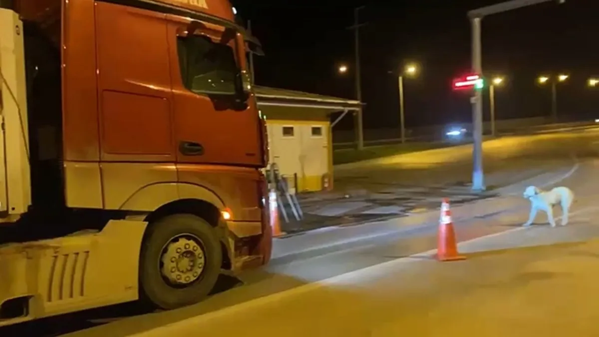Plakaları kapalı şekilde kantara girmeyen 6 TIR'a yüklü ceza