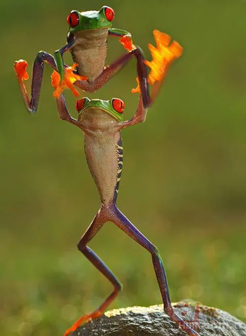 Erzurum'da görenleri şaşırtan anlar! Hemen telefona sarıldılar 5