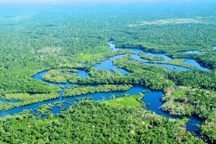 Amazon Yağmur Ormanları’nda askerler gezecek