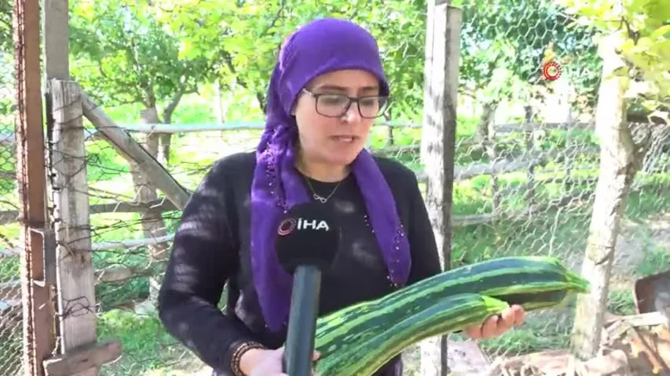 Komşudan tohum istedi! Yetişen sebze şaşkına çevirdi