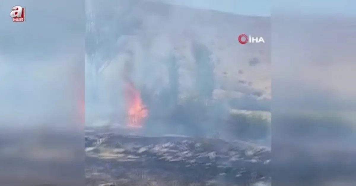 Elazığ’da otluk alanda çıkan yangın söndürüldü
