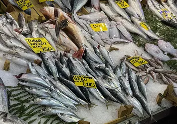 Kocaeli'de balık tezgahlarındaki son durum