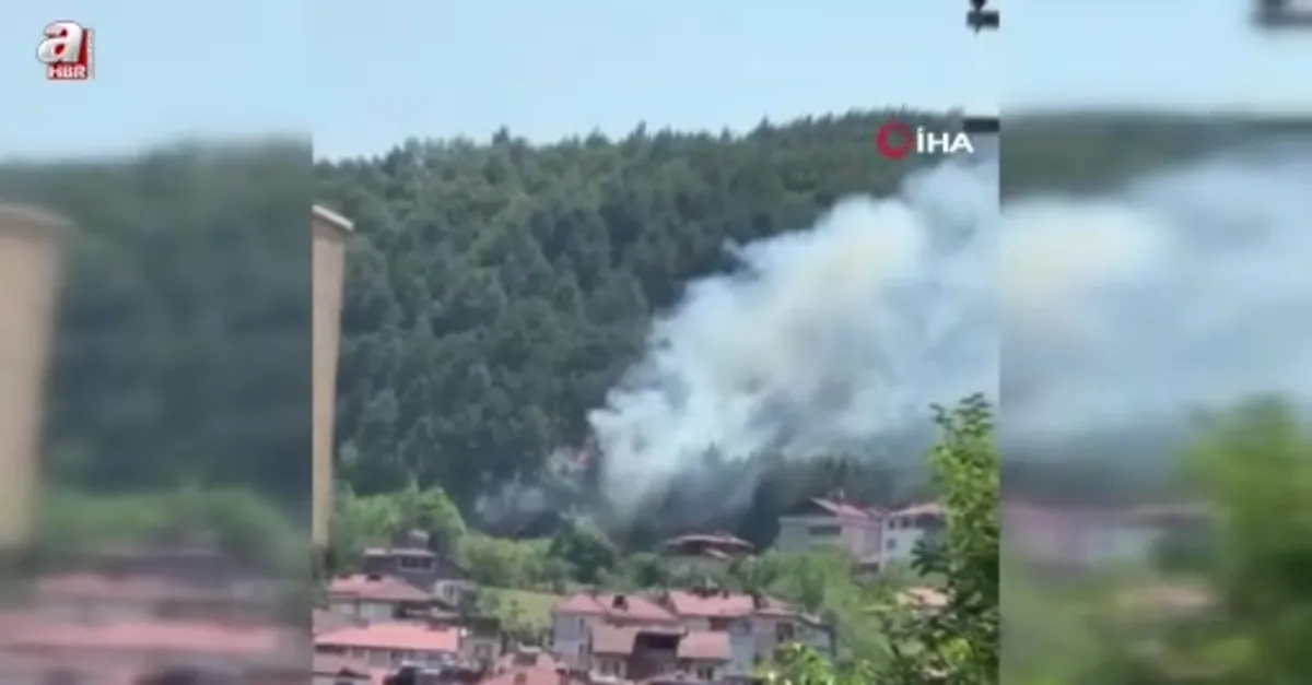 Örtü yangını büyümeden söndürüldü